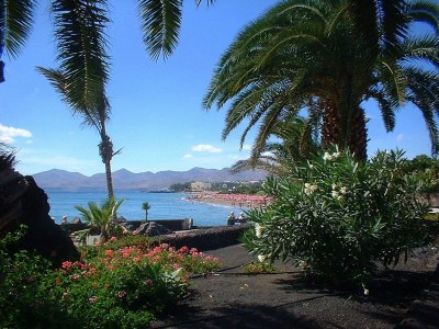 Holiday apartment Tropican in the oasis of well-being Tropical - Environment photo 20