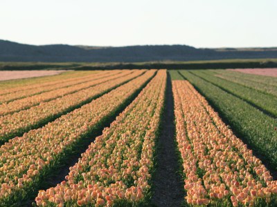 Holiday apartment Préviniareweg 20 - Environment photo 21