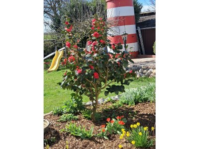 Holiday house Medemschipper - Outdoor photo 9