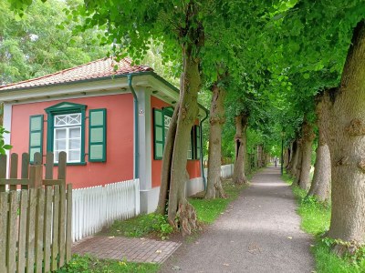 Holiday house Medemschipper - Environment photo 34