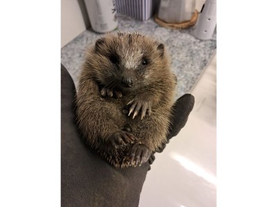 Holiday house Medemschipper - Document photo 41