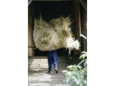 Holiday apartment " Pütia " in the Ciasa Medalghes - Environment photo 14