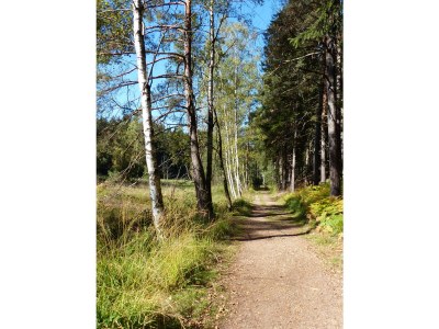 Holiday apartment Künzel - Environment photo 18