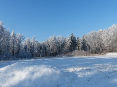 Holiday apartment Künzel - Environment photo 20