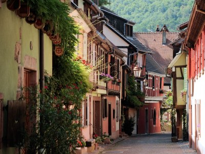 Holiday apartment Le Schlossberg in the house "Les gÃ®tes du Couvent" - Environment photo 12