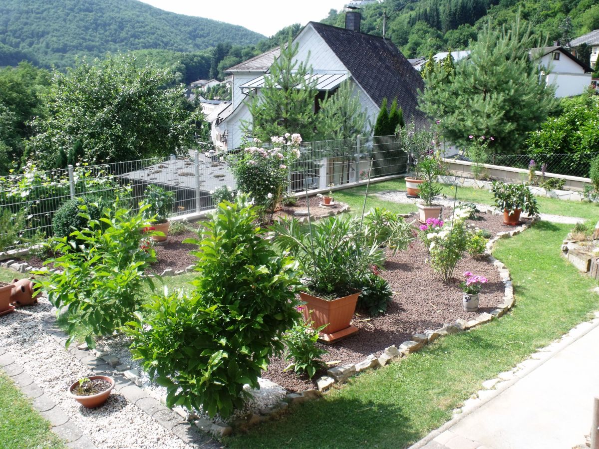 Holiday apartment Hornemann - Outdoor photo 2