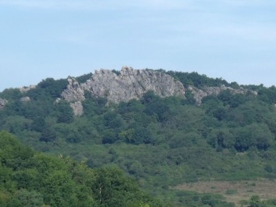 Holiday apartment Hornemann - Environment photo 23