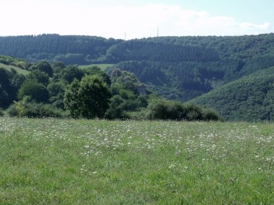 Holiday apartment Hornemann - Environment photo 26