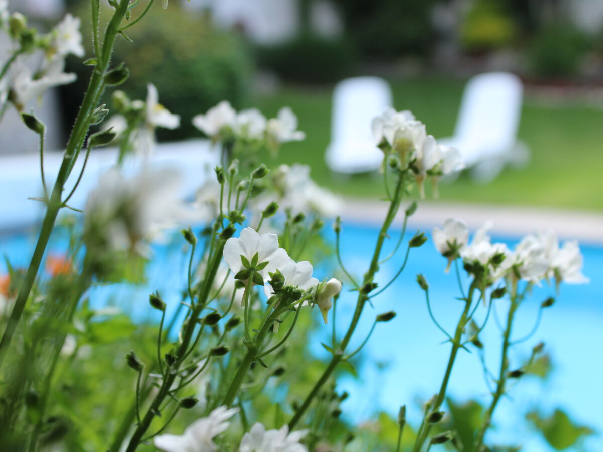 Holiday apartment Innerhofer with south-facing balcony - Outdoor photo 3