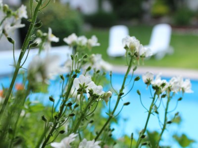 Holiday apartment Innerhofer with south-facing balcony - Outdoor photo 3