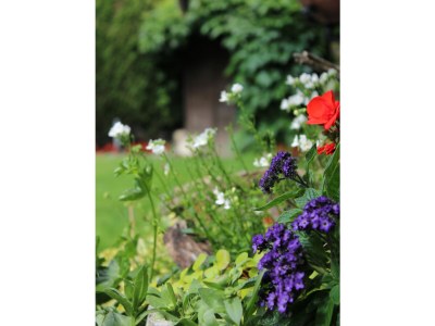 Holiday apartment Innerhofer with south-facing balcony - Outdoor photo 8