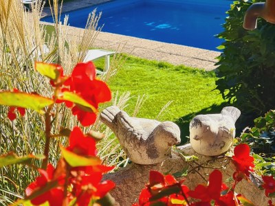 Holiday apartment Innerhofer with south-facing balcony - Outdoor photo 10