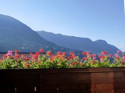 Holiday apartment Innerhofer with south-facing balcony - Outdoor photo 13