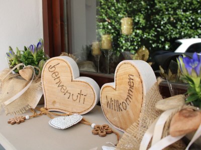 Holiday apartment Innerhofer with south-facing balcony - Outdoor photo 17