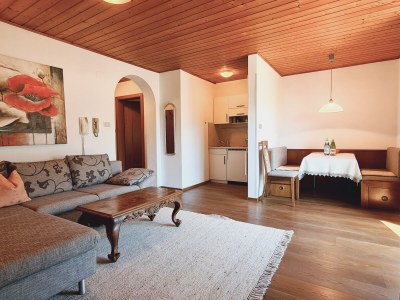 Holiday apartment Innerhofer with south-facing balcony - Features photo 26