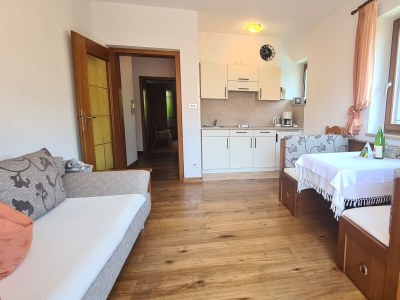 Holiday apartment Innerhofer with south-facing balcony - Features photo 28