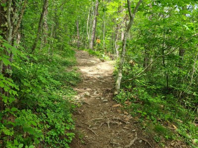 Holiday apartment Innerhofer with south-facing balcony - Environment photo 32