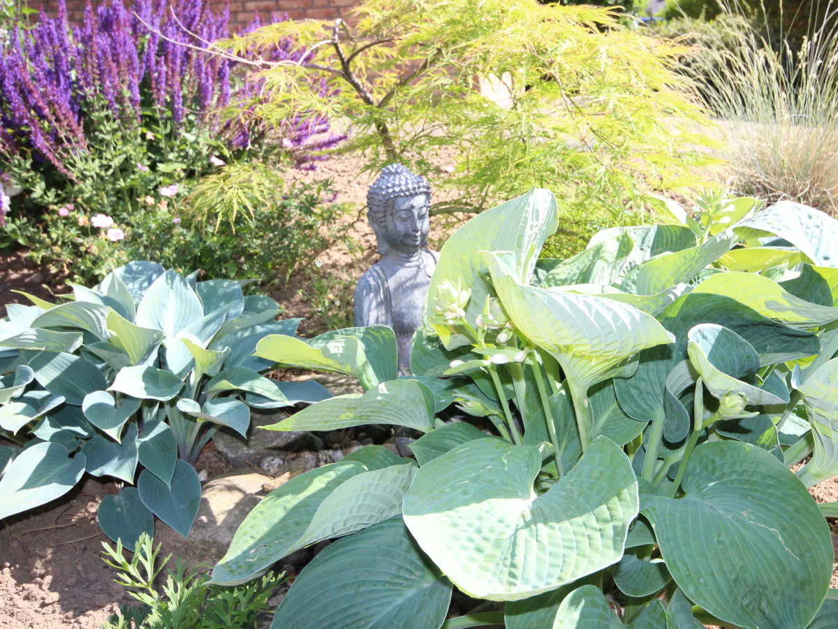 Holiday house Müritzblick 1 - Outdoor photo 5