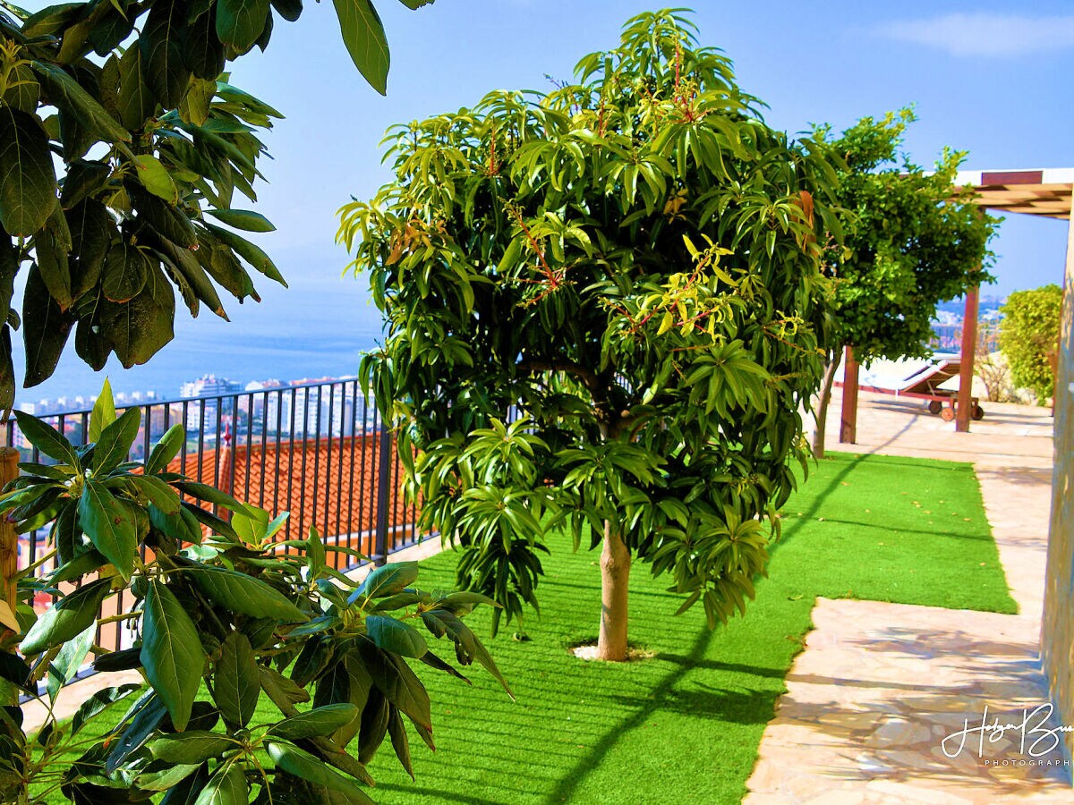 Holiday apartment Vista del Mar - Outdoor photo 5