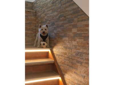 Holiday apartment Albin 2 - Environment photo 20