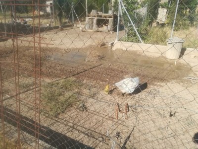 Cottage Frei stehendes Landhaus aus dem 19. Jahrhundert. - Environment photo 29