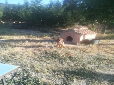 Cottage Frei stehendes Landhaus aus dem 19. Jahrhundert. - Environment photo 30