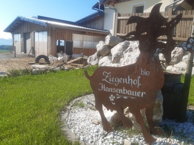 Farmhouse Hansenbauer - Outdoor photo 5