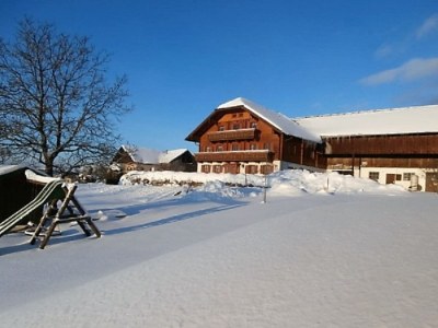 Farmhouse Hansenbauer - Outdoor photo 9