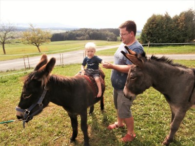 Farmhouse Hansenbauer - Environment photo 20