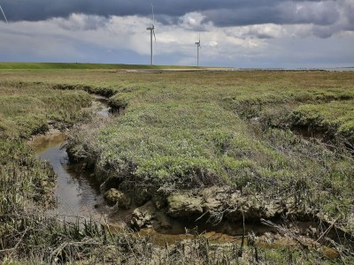 Holiday park Modern Chalet Near Beach - Environment photo 29
