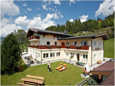 Apartment Bergkristall Alpenhof in Mittersill - Apartment