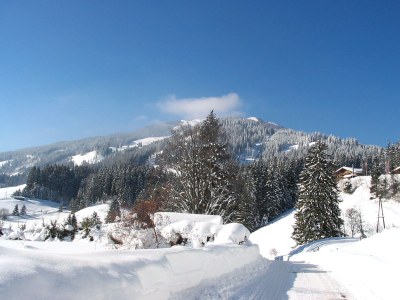 Holiday apartment II at the organic farm Stallfeld - Environment photo 14