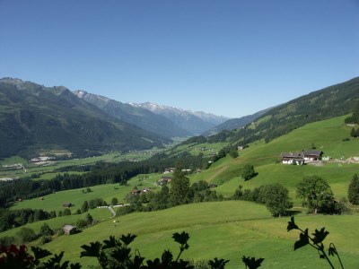 Holiday apartment II at the organic farm Stallfeld - Environment photo 16