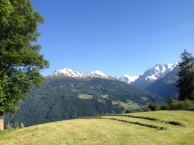 Holiday apartment II at the organic farm Stallfeld - Environment photo 20
