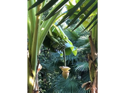 Holiday house Rifugio il Gufo - Outdoor photo 12