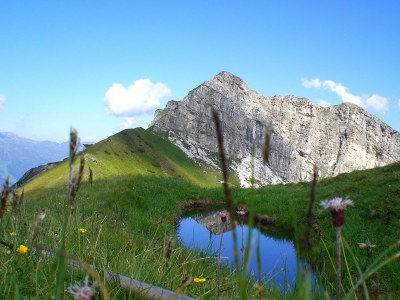 Holiday apartment Maple at Landhaus Christina - Environment photo 13