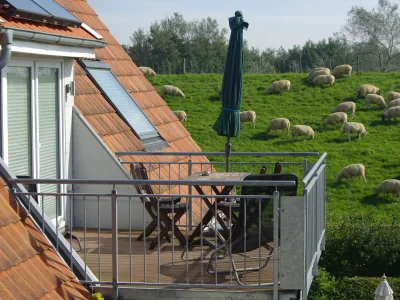 Holiday apartment Villa Wattenmeer - Outdoor photo 7