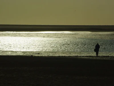 Holiday apartment Villa Wattenmeer - Environment photo 27