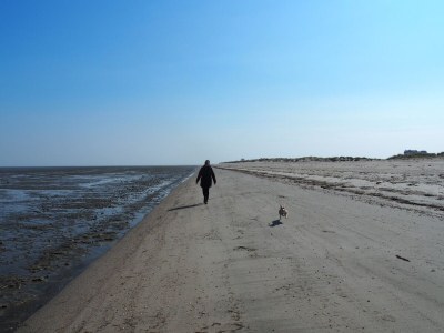 Holiday apartment Villa Wattenmeer - Environment photo 28