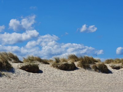 Holiday apartment Villa Wattenmeer - Environment photo 34