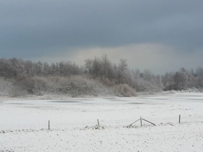 Holiday apartment Villa Wattenmeer - Environment photo 38
