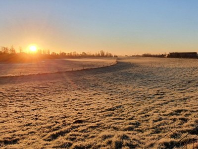 Holiday apartment Villa Wattenmeer - Environment photo 40