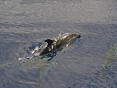 Holiday house Casa Verde - Environment photo 11