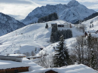 Holiday apartment Talblick in the guesthouse on the mountain - Environment photo 14