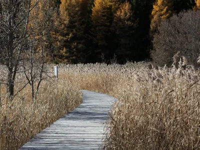Apartment No title - Environment photo 27
