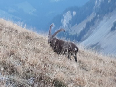 Holiday apartment Walter 2 - Environment photo 18