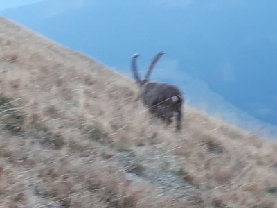 Holiday apartment Walter 2 - Environment photo 19