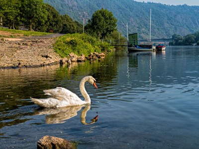 Holiday apartment House Daniela - Environment photo 15