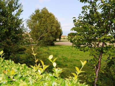 Holiday apartment Casa Blume - Outdoor photo 9