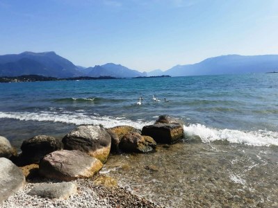 Holiday apartment Casa Blume - Environment photo 23